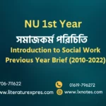 Introduction to Social Work Previous Year Brief